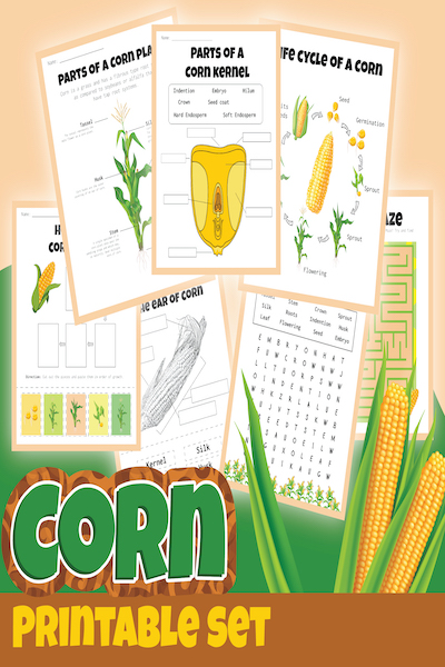 corn unit study