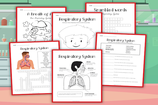 Lungs Activity pack