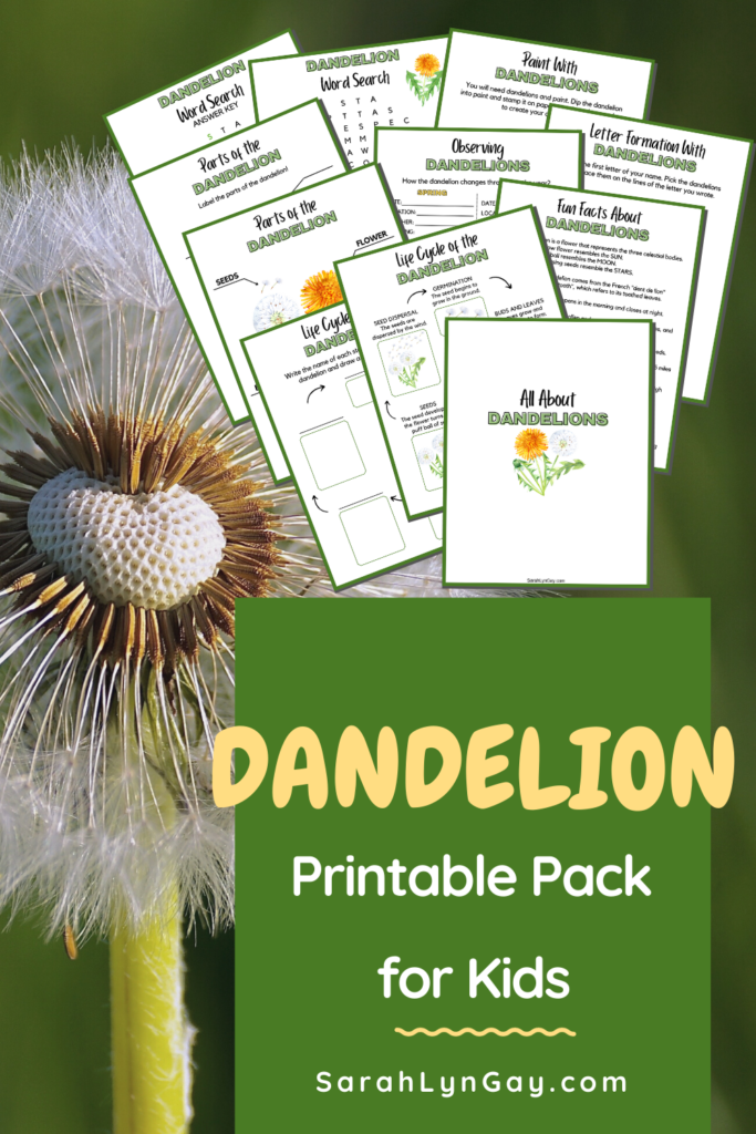 Get our Dandelion life cycle workbook!
