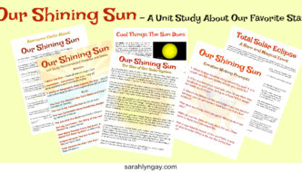 Our Shining Sun Unit Study Featured Image