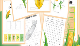 All About Corn: Planting, Growing, and Eating! Featured Image