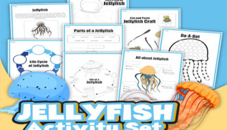 The Life Cycle of a Jellyfish