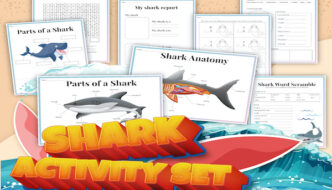 The Life Cycle of a Great White Shark: Survival in the Ocean Featured Image