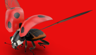 The Lifecycle of a Ladybug: The Life and Times Featured Image