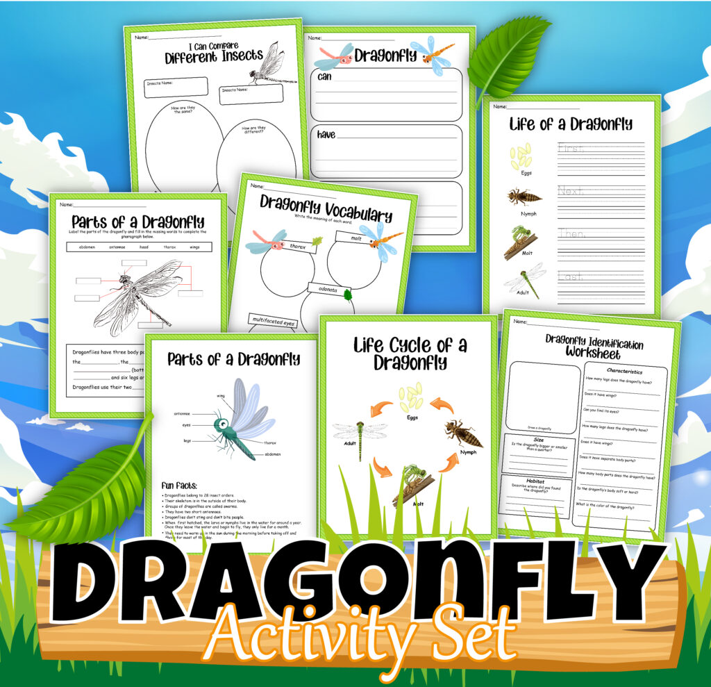 Dragons Fly Too: Help Your Kids Understand the Life Cycle of a Dragonfly