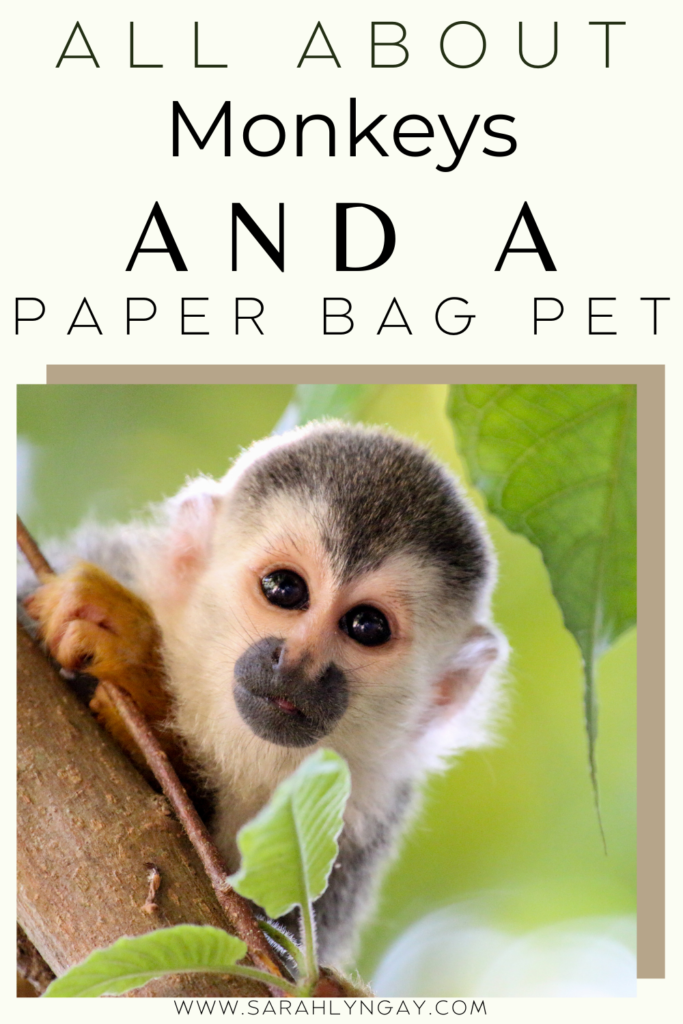 All About Monkeys For Kids and a Monkey Puppet Craft