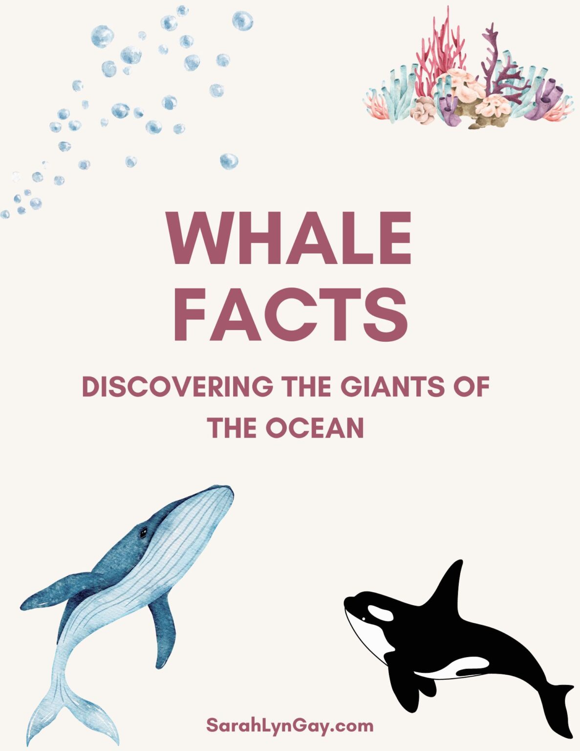 Whale Facts: Discovering the Giants of the Ocean - Sarah Lyn Gay