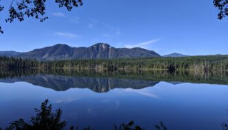 Freshwater Ecosystems: Insights into Aquatic Habitats Featured Image