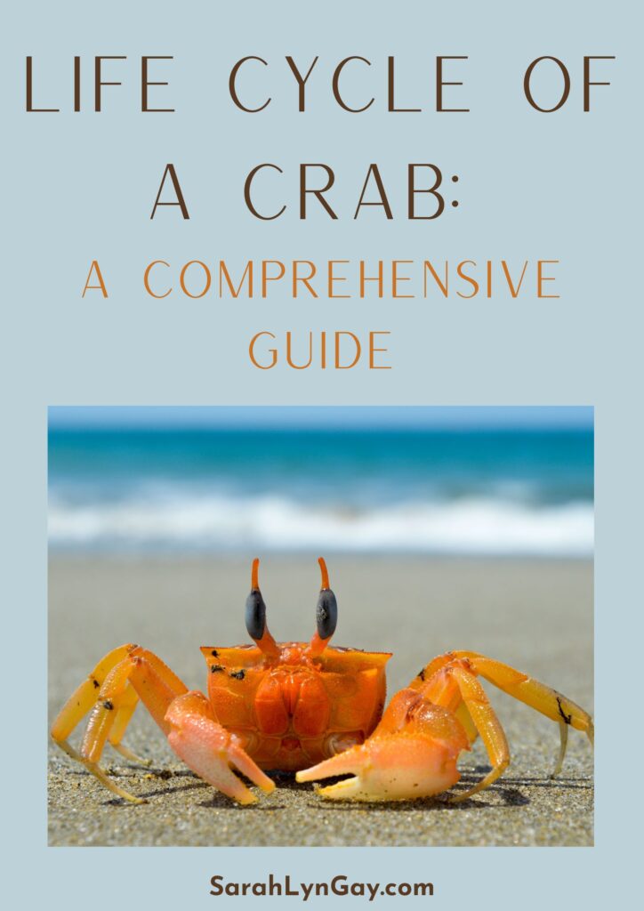 Life Cycle of a Crab Worksheet: A Comprehensive Guide Cover Image