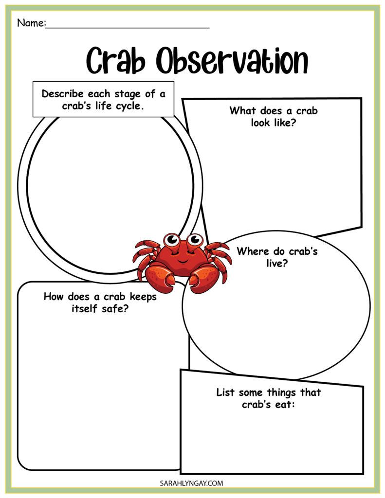 Life Cycle of a Crab Worksheet: A Comprehensive Guide observation of crab activity
