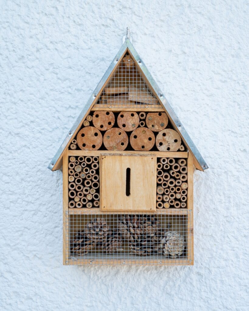 Bee Life Cycle: A Comprehensive Guide bee house