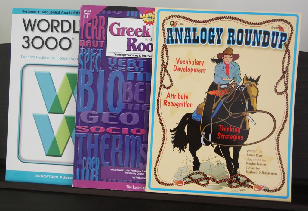 Reading Books for Third Graders vocabulary workbooks