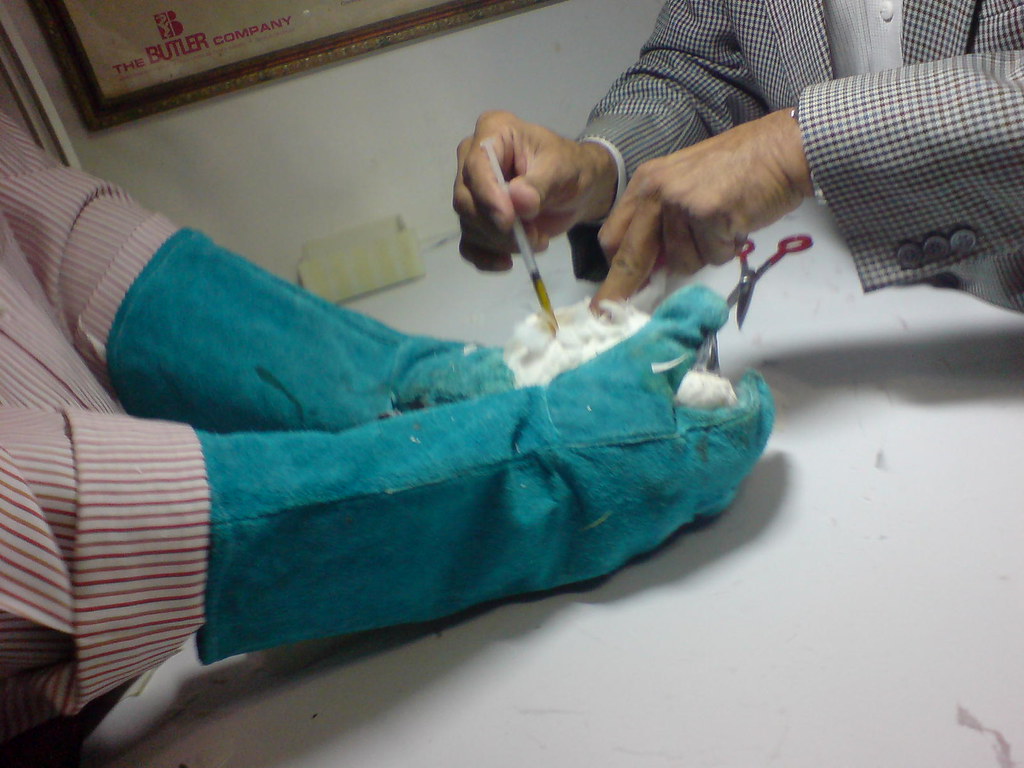 Bloodworm Life Cycle bloodworms are known to carry various diseases so gloves are important